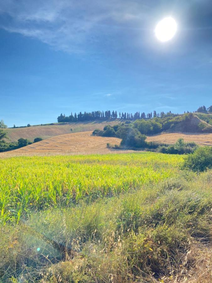 Agriturismo I Moricci Peccioli Dış mekan fotoğraf