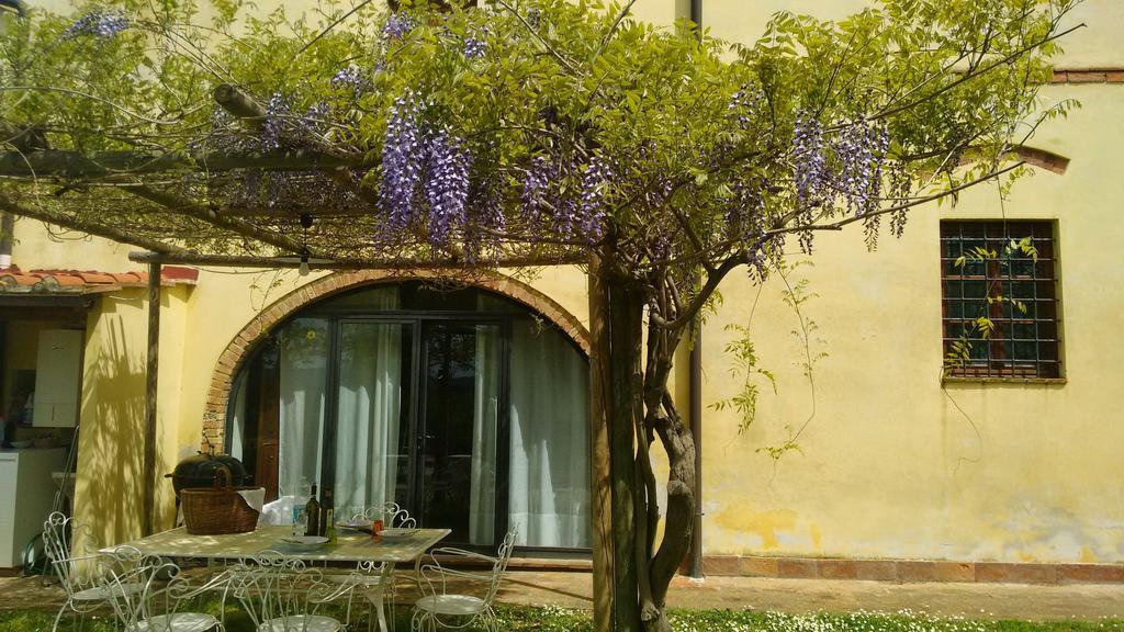 Agriturismo I Moricci Peccioli Dış mekan fotoğraf