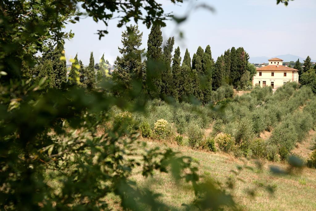 Agriturismo I Moricci Peccioli Dış mekan fotoğraf