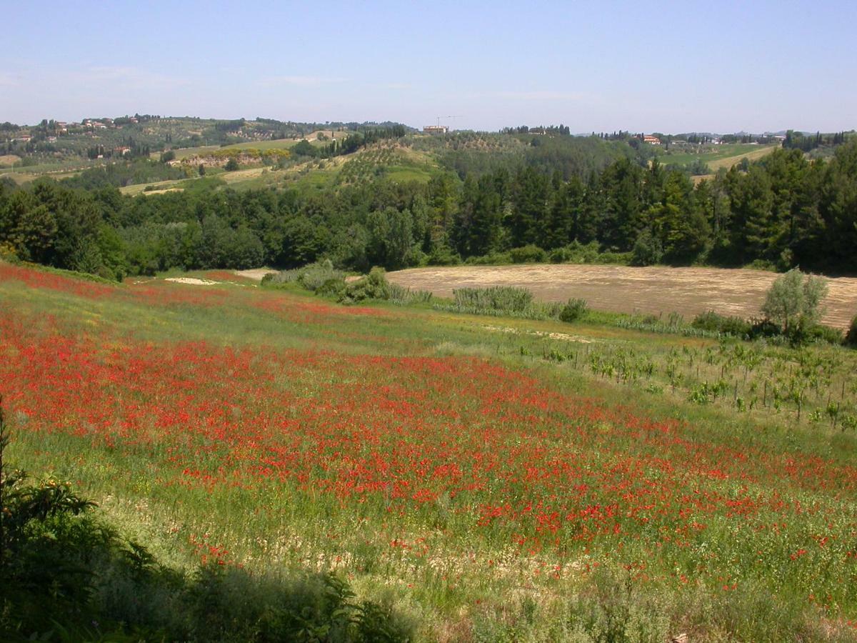 Agriturismo I Moricci Peccioli Dış mekan fotoğraf